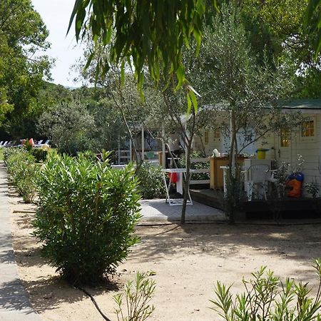 Camping Baia Paradiso 巴德希 外观 照片