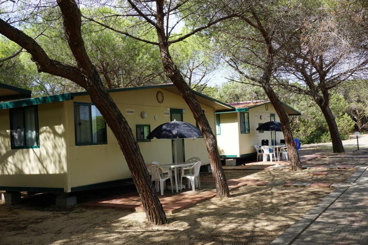 Camping Baia Paradiso 巴德希 外观 照片