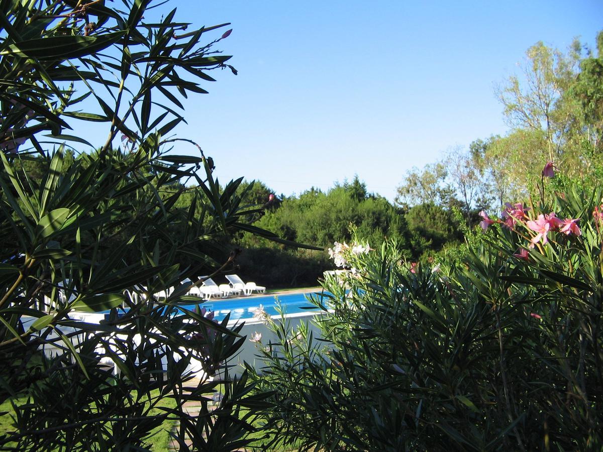 Camping Baia Paradiso 巴德希 外观 照片